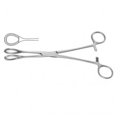 Heywood-Smith Sponge Holding Forcep Straight Stainless Steel, 21 cm - 8 1/4"